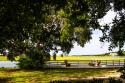 Pawley Island IV