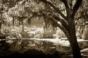 Walker's Pond II