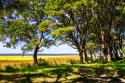 Cape Fear Overlook