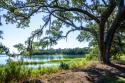 Bradley Creek II
