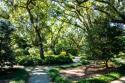 Garden By The Sea II