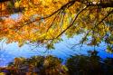 Autumn Reflections I