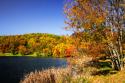 Highland Autumn I