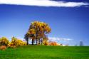 Meadows of Dan II