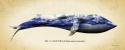 Blue Whale