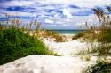 To the Beach I