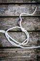 Halyard I