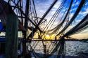 Beaufort Docks II