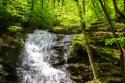 Deep Woods Waterfall I