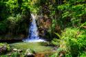 Deep Woods Waterfall II