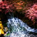 Gentle Waterfall I