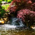 Gentle Waterfall II