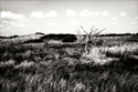 Bear Island I