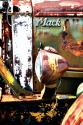 Rusty Old Truck III