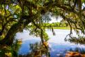 Ashley River Bank III