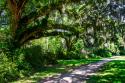 Plantation Walk