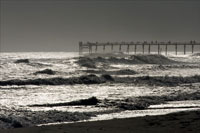 Silver Sea I