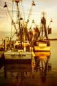 At the Dock III