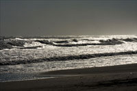 Silver Sea II