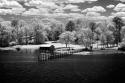 Spring on the Mattaponi I