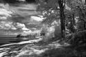 Tappahannock Shores II