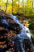 Autumn Waterfall I