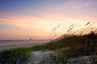 Rosey Sunset I