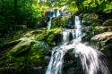 Dark Hollow Falls I