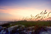 Rosey Sunset II