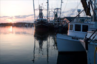 The Fridea Marie I