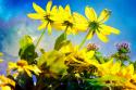 Flowers on Watercolor I