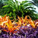 Tropical Garden I
