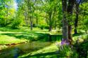 Gentle Stream II