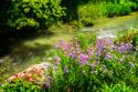 Gentle Stream III