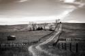 Lonely Road I