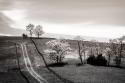 Lonely Road II