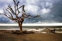 Storm is Coming I