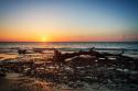 Jekyll Island Sunrise IV