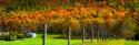 Autumn Splendor I