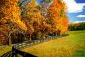 Winding Through Red & Gold