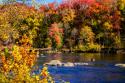 Autumn by the River I