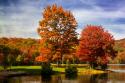 Autumn by the River II