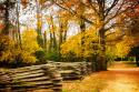 Late Fall Day I