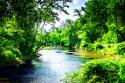 Summer Day on the Neuse River