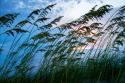 Stormy Beach II