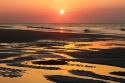 Bright Coral Sunrise