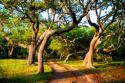 Lenoxville Point I