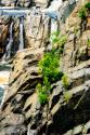 Cascading Water I