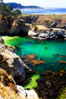 China Cove I