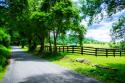 The Road Home